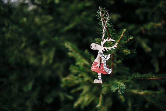 ornament on tree